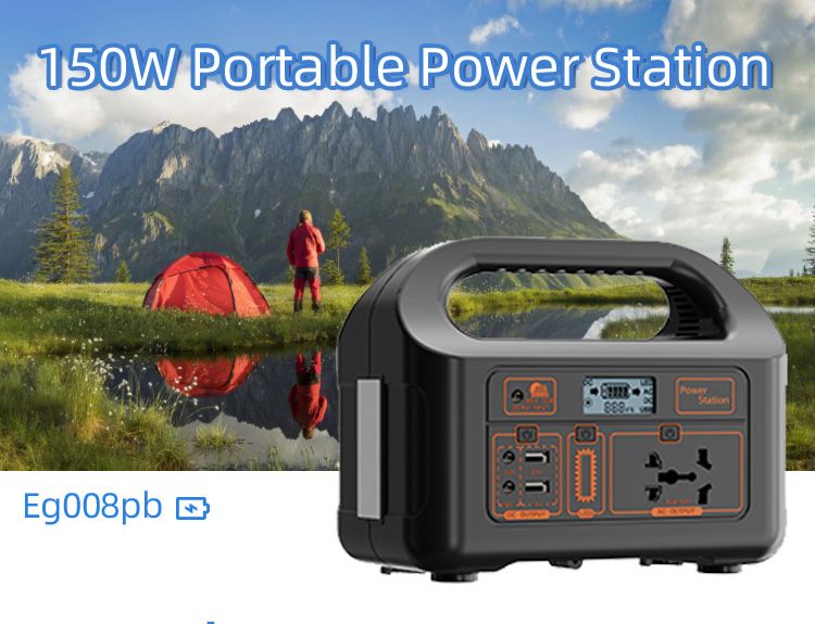 What kind of charger should be selected when charging the portable power station?